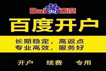 百度竞价排名服务：实战案例教你如何高效推广
